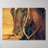 Western Horse Poster