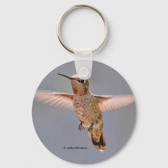 Anna's Hummingbird Hovers in Place Keychain