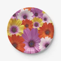 Colorful Medley of African Daisies Flowers Paper Plates