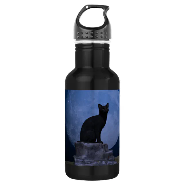 Moonlit Cat Stainless Steel Water Bottle