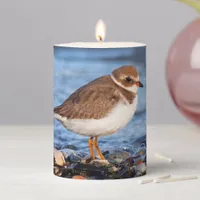 Beautiful Semipalmated Plover at the Beach Pillar Candle