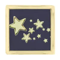 Golden Starburst Gold Finish Lapel Pin