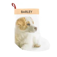 Personalized Pet Dog Photo Festive Holiday Cute  Small Christmas Stocking