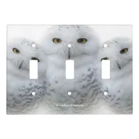 Dreamy Wisdom of Snowy Owls Light Switch Cover