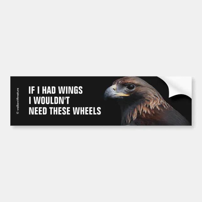 If I Had Wings I Wouldn't Need ... : Golden Eagle Bumper Sticker