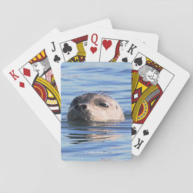 Funny Harbor Seal Periscopes the Pier Dock Poker Cards