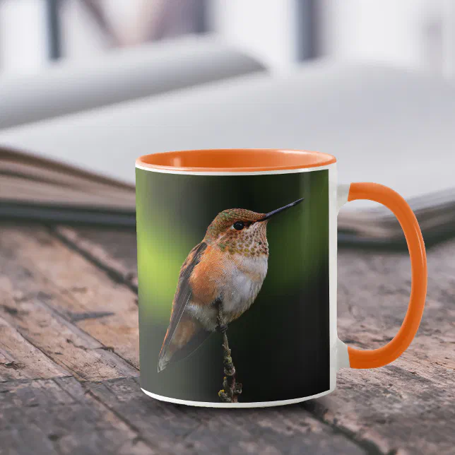 Adorable Rufous Hummingbird on Branch Mug