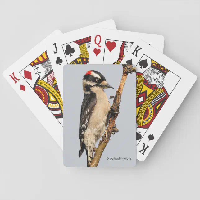 Cute Downy Woodpecker on Fruit Tree Poker Cards