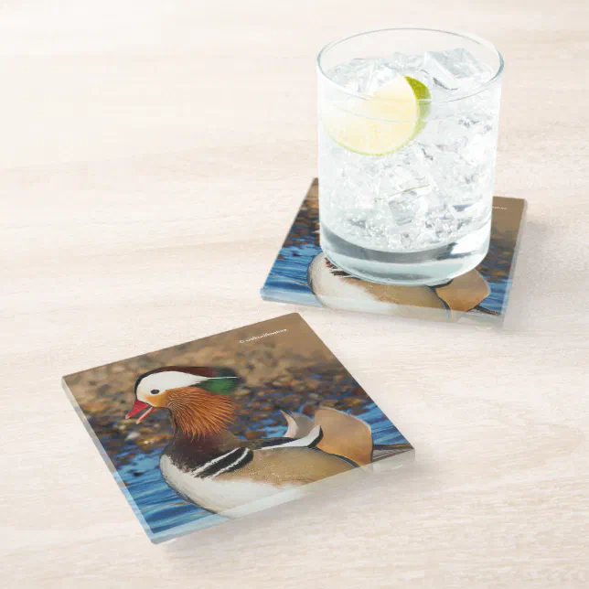 Beautiful Chatty Mandarin Duck at the Pond Glass Coaster