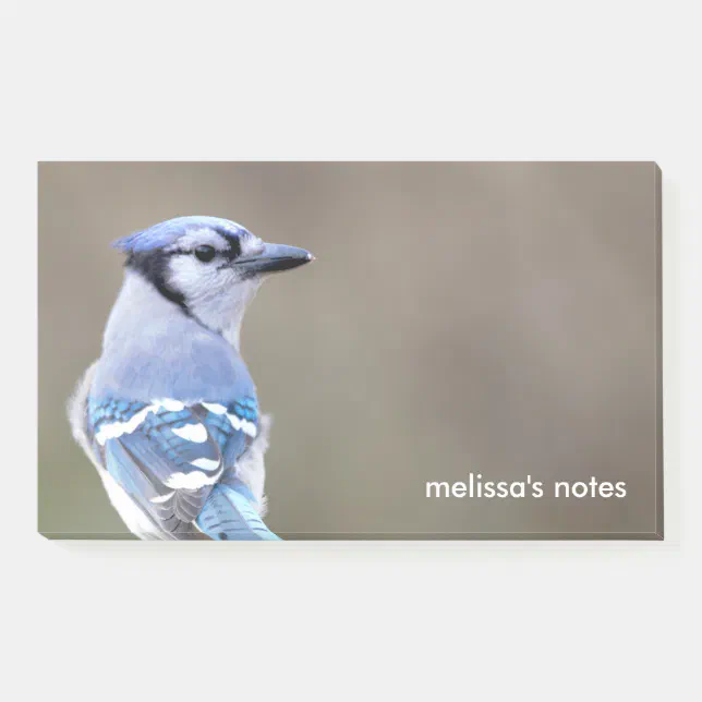 Cute Blue Jay Songbird on Treestump Post-it Notes