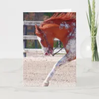 Paint Horse Card