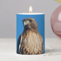 Magnificent Red-Tailed Hawk in the Sun Pillar Candle