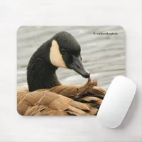 Canada Goose on the Lake Mouse Pad