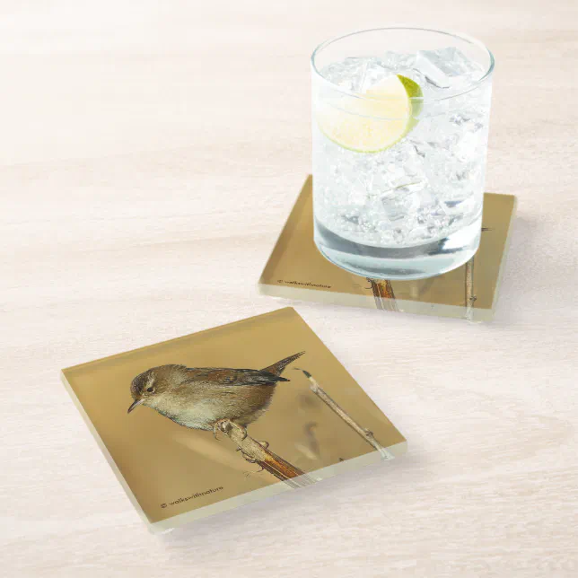 Beautiful Marsh Wren Songbird in the Marshes Glass Coaster