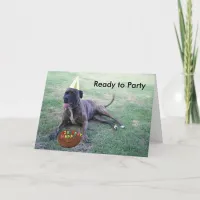 Ready to Party with Birthday Dog and Brownie Cake Card