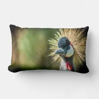 Photograph cushion of bird