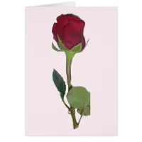 Red Rose Card