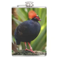 Stunning Roul-Roul Crested Wood Partridge Bird Flask