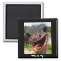 Funny Ostrich Bird Photo What's Up Magnet