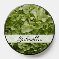 Green Annabelle Hydrangea Flower PopSocket