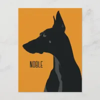 Noble Black Doberman Postcard