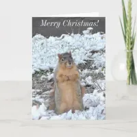 Merry Christmas and Happy New Year Squirrel Winter Card