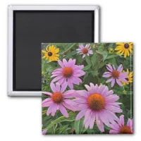 Pink and Yellow Cone Flowers Nature Photograph  Magnet