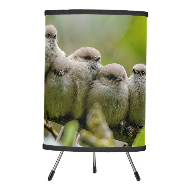 Heartwarming Cute Bushtits Songbirds Family Photo Tripod Lamp
