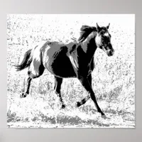 Black Yearling Horse Poster