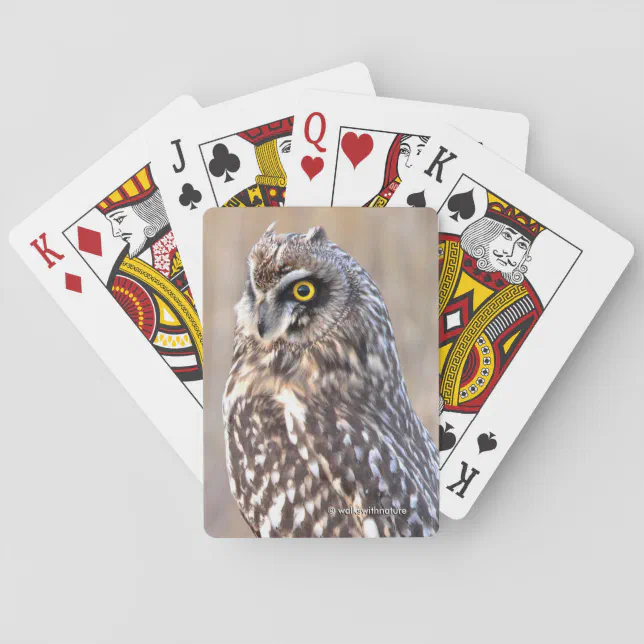 Portrait of a Short-Eared Owl Poker Cards