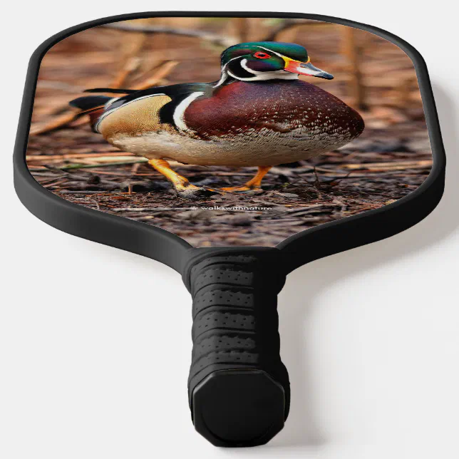 Stunning Wood Duck in the Woods Pickleball Paddle