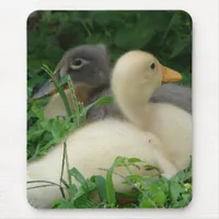 Ducklings Mouse Pad