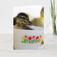 Duck in a Teacup Card