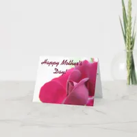 Happy Mother's Day Soft Focus Pink Rose Card