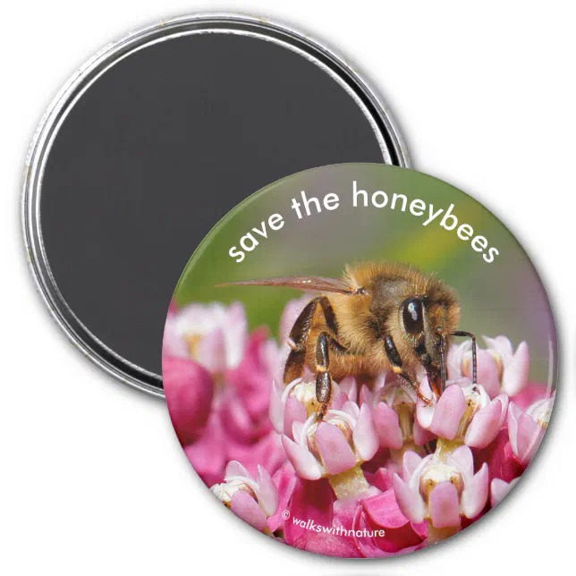 Save the Honeybees Pollinating Narrowleaf Milkweed Magnet