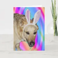 Funny German Shepherd Dog & Easter Bunny Ears Holiday Card