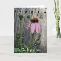 Thinking Of You Cornflower Photo Card