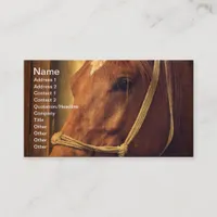 Sorrel in Rope Halter Business Card