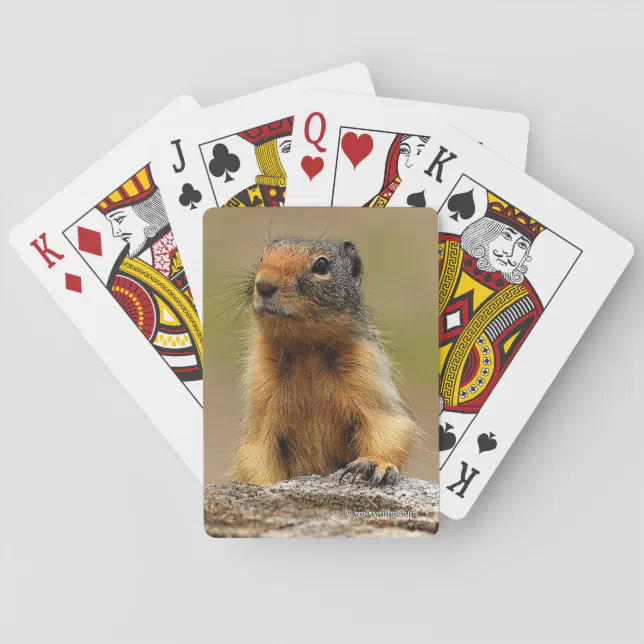 Funny Cute Saucy Columbian Ground Squirrel Poker Cards