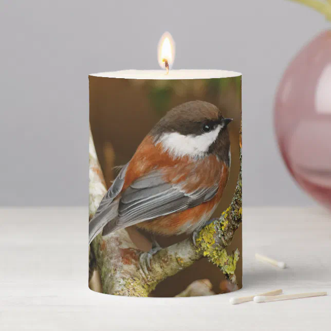 Cute Chestnut-Backed Chickadee on the Pear Tree Pillar Candle