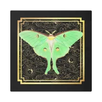 Art Deco Luna Moth