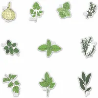 Botanical Kitchen Herb Illustrations Sticker