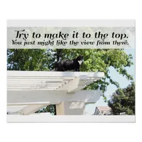 Motivational Make it to the Top Cat Saying Poster