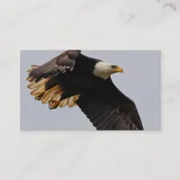 A Bald Eagle Takes to the Sky Business Card