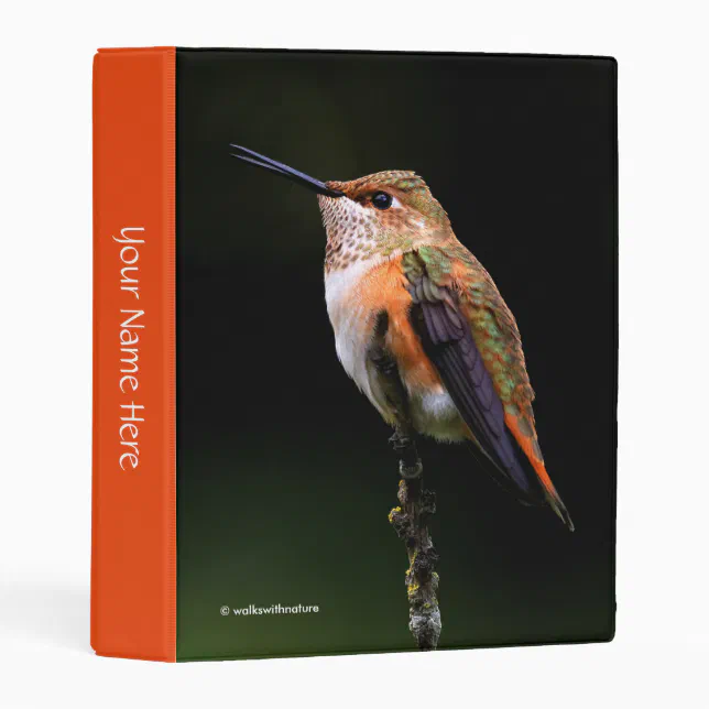 Adorable Rufous Hummingbird on Branch Mini Binder