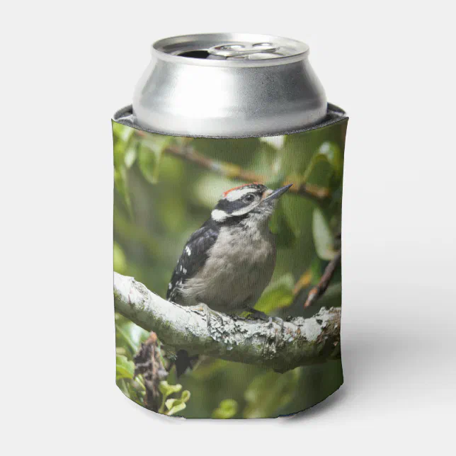 Cute Young Downy Woodpecker in the Pear Tree Can Cooler