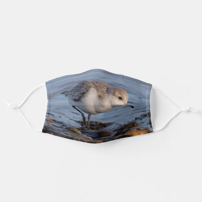 Cute Sanderling Sandpiper Strolls Wintry Beach Adult Cloth Face Mask