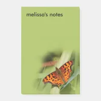 Beautiful Orange Satyr Comma Butterfly Post-it Notes