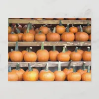 Halloween Pumpkin Wall Postcard