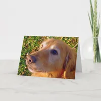 Comet, sit, stay  Good Boy! Card